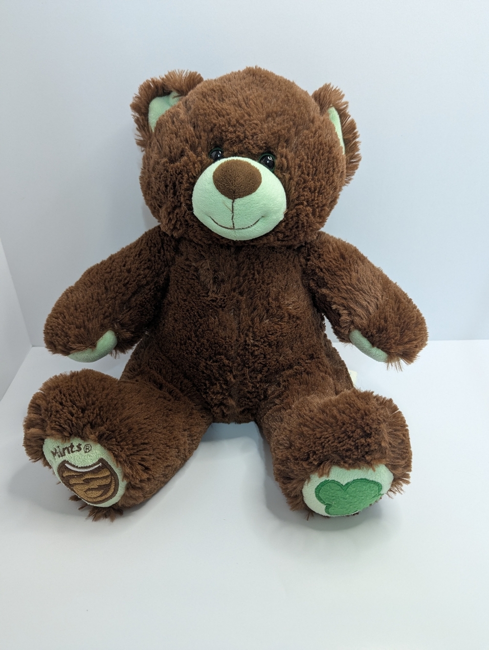 Girl Scout Build A Bear Thin Mint Cookie GS 2013 Brown Teddy Bear